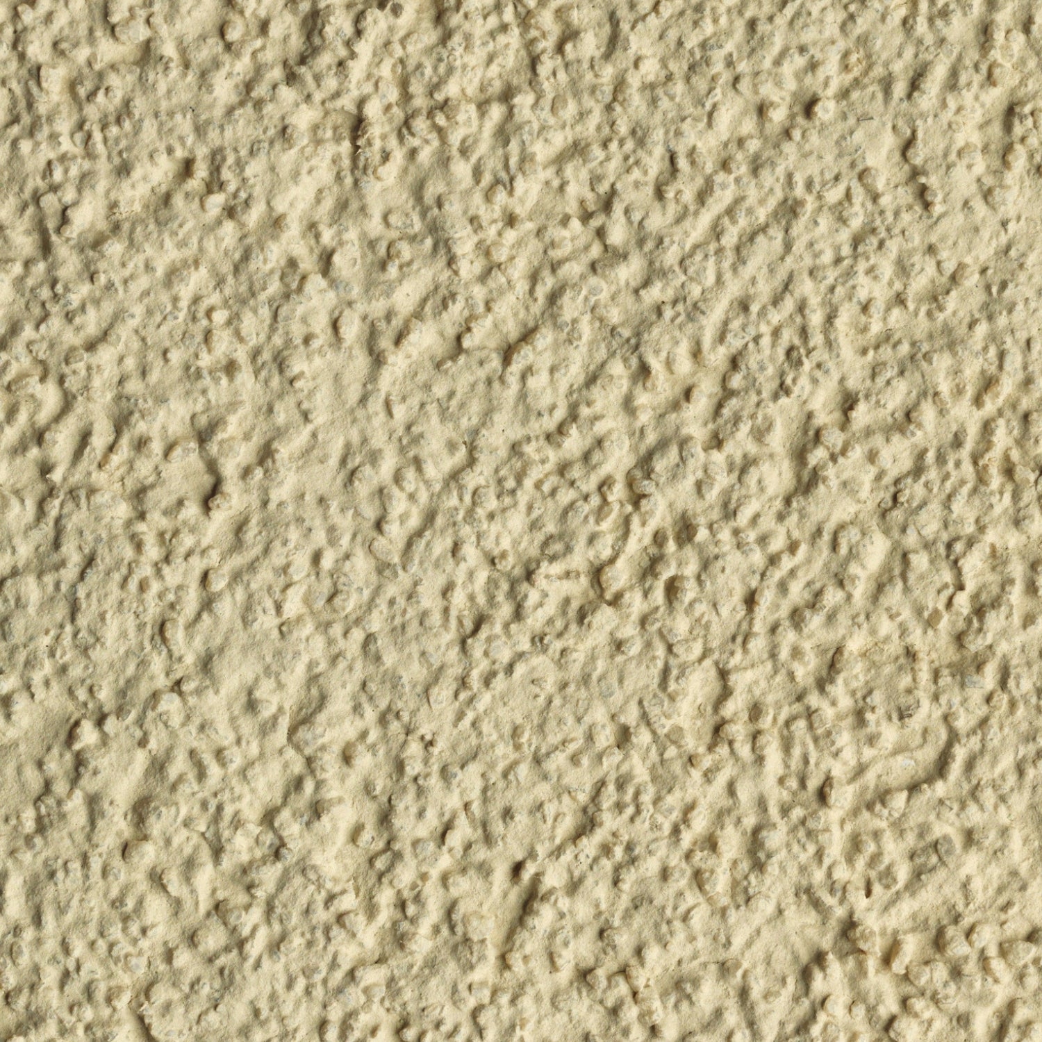 K Rend - TC 30 - 25kg > Biscuit