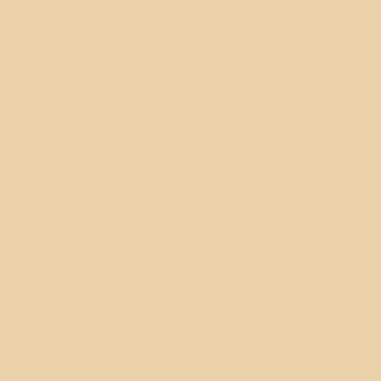 K Rend Colour Enhance - 18kg > Cinnamon