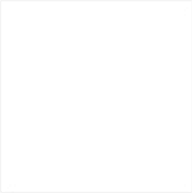 Fassa - RTA 549 1.5mm Top Coat > White