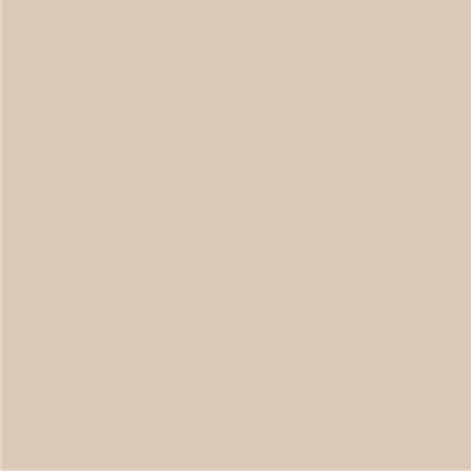 Fassa - RTA 549 1.5mm Top Coat > IN08