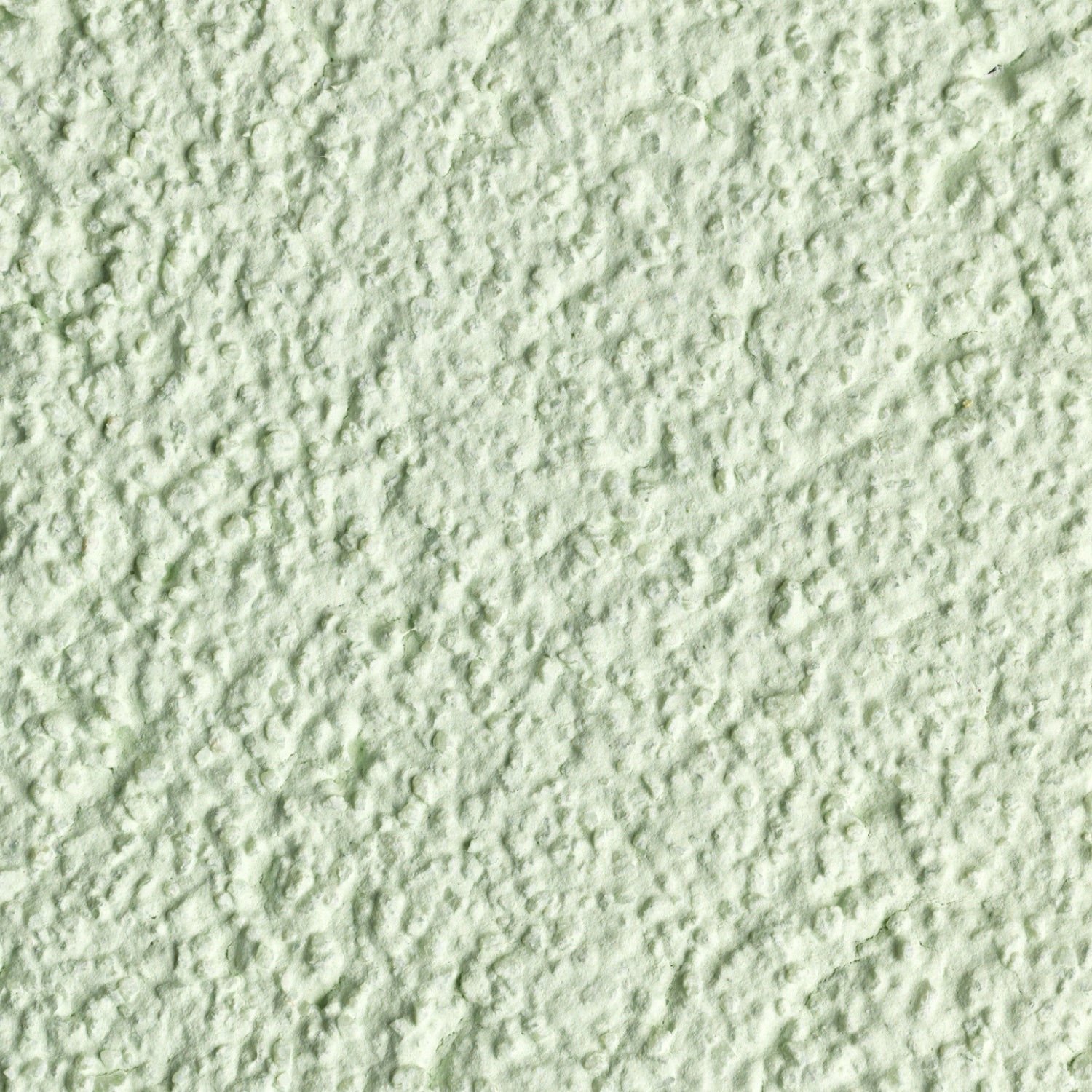 K Rend - Silicone TC 10 - 25kg > Mint